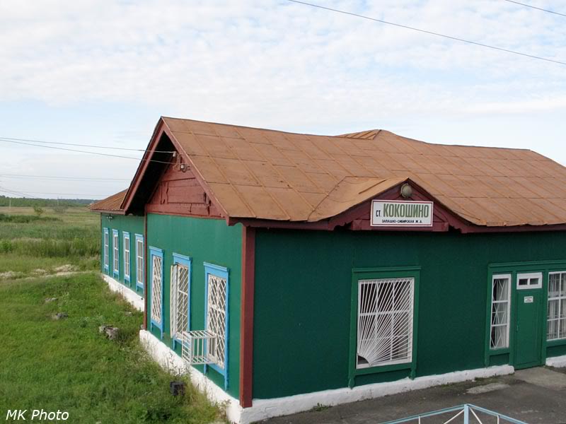 Кокошино