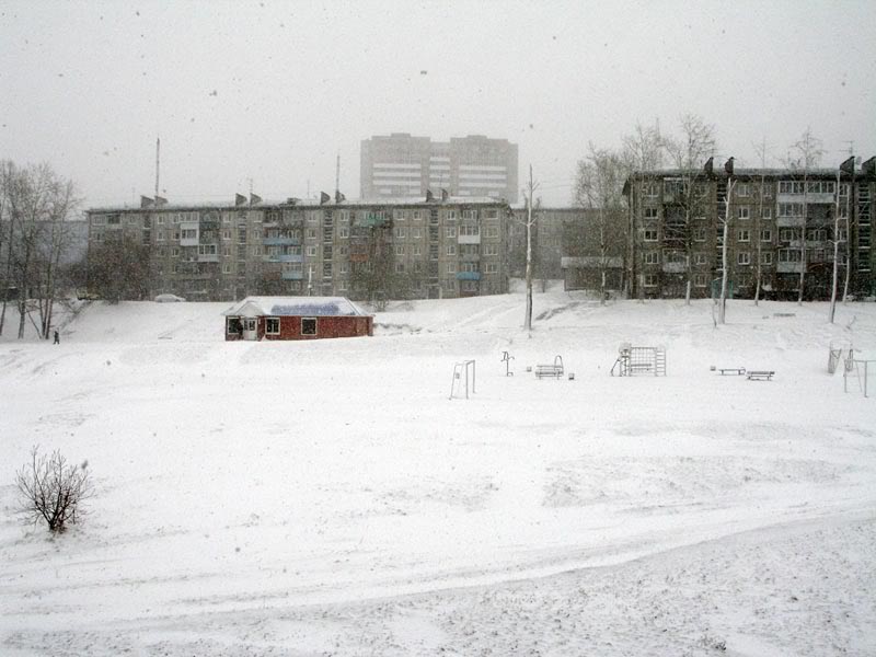 Вид из окна моего дома