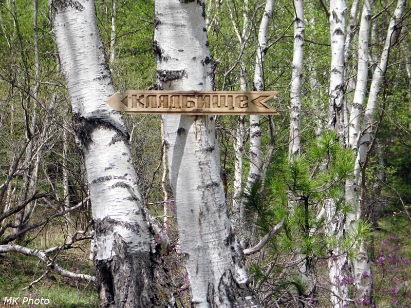 На кладбище