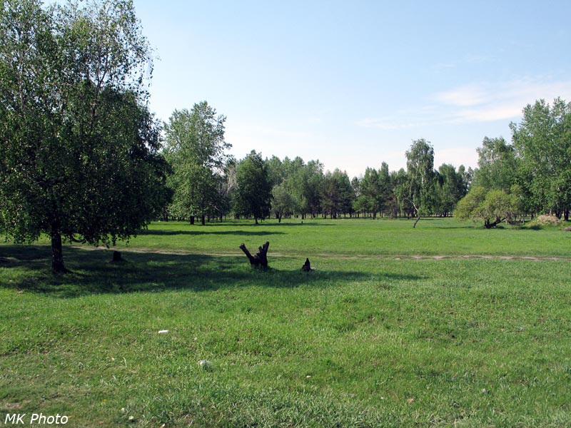 Лужайка