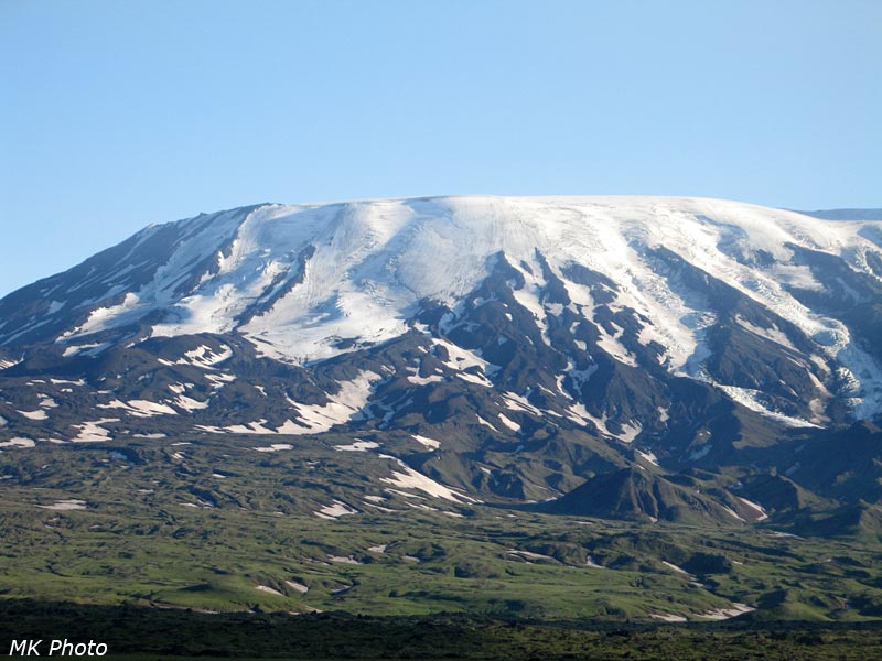 Плоский Толбачик