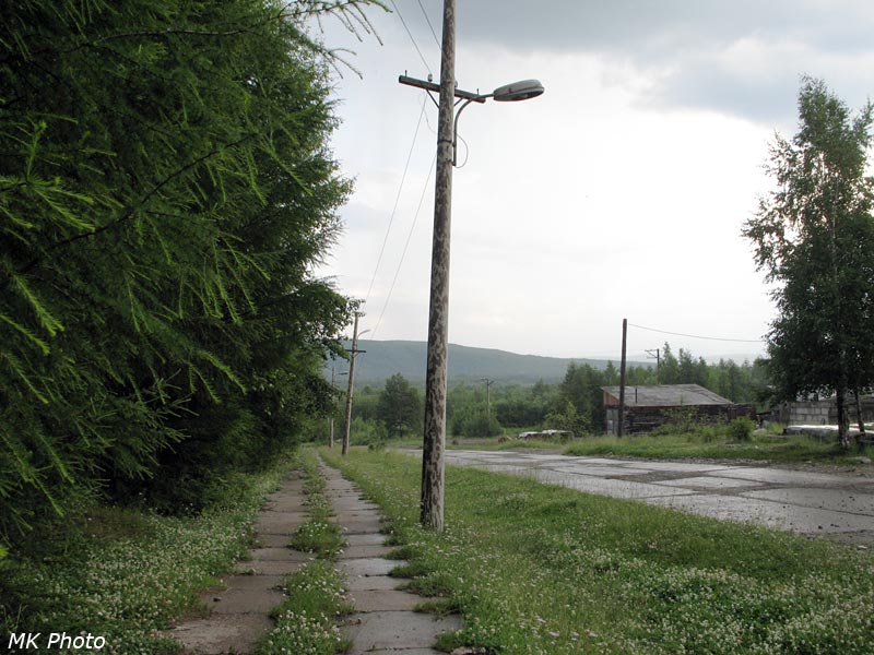Зарастающий тротуар
