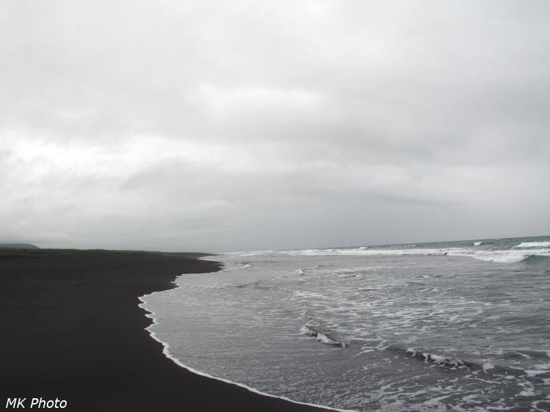 Берег Халактырского пляжа