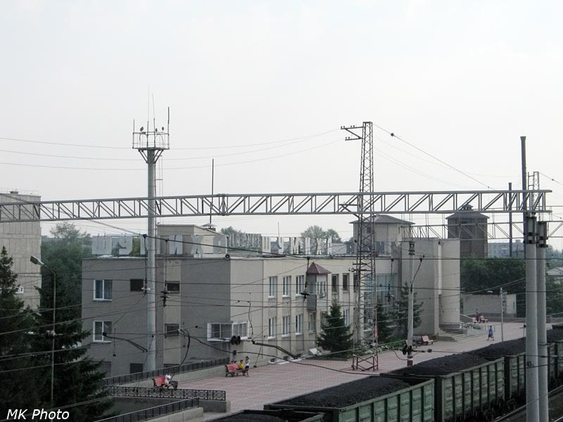 Шумиха