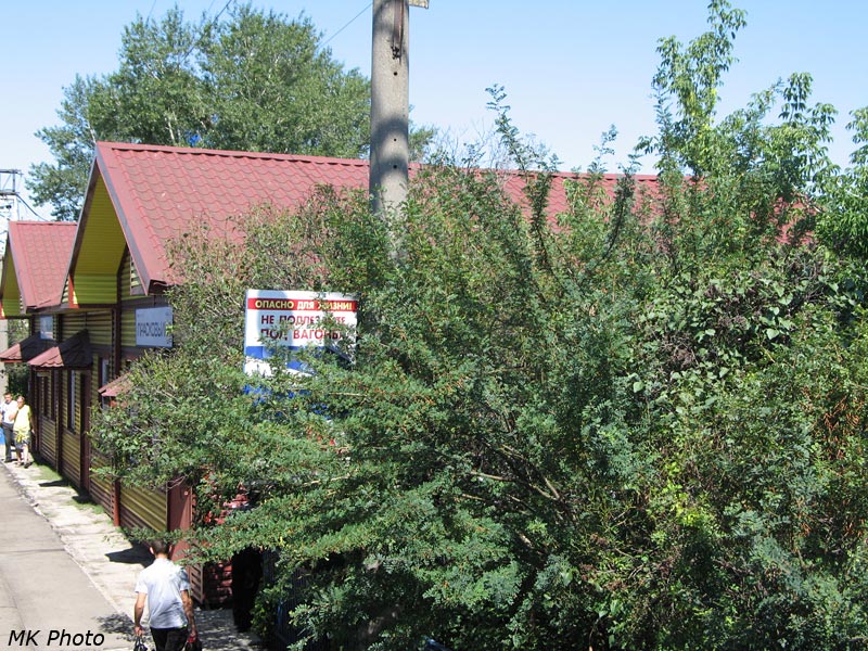 Прасковьино