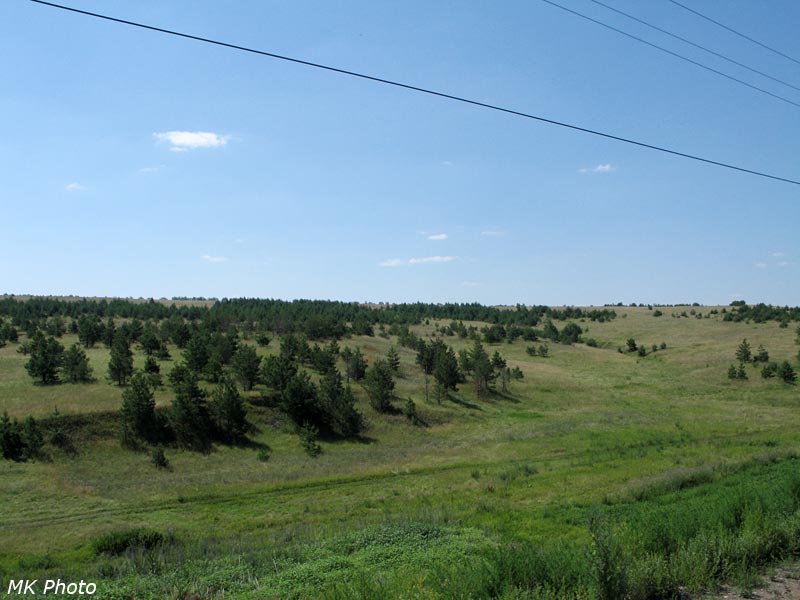 Перелески