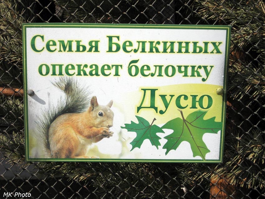 Белкины