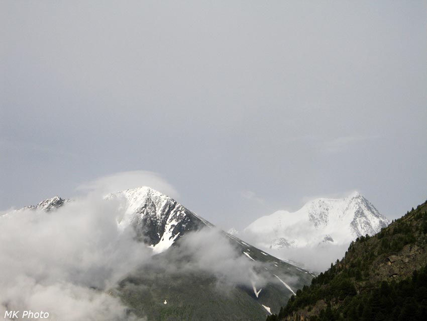 Корона Алтая