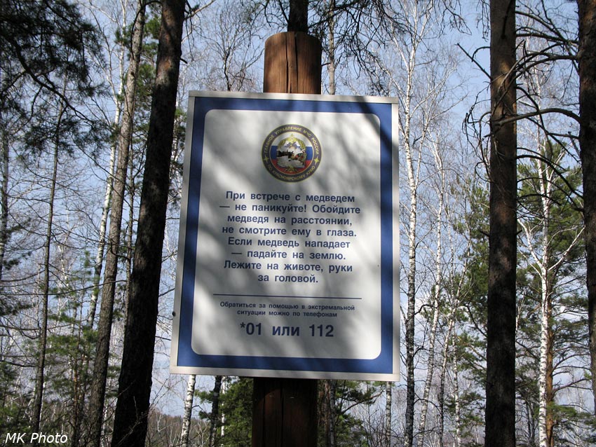 Про медведя