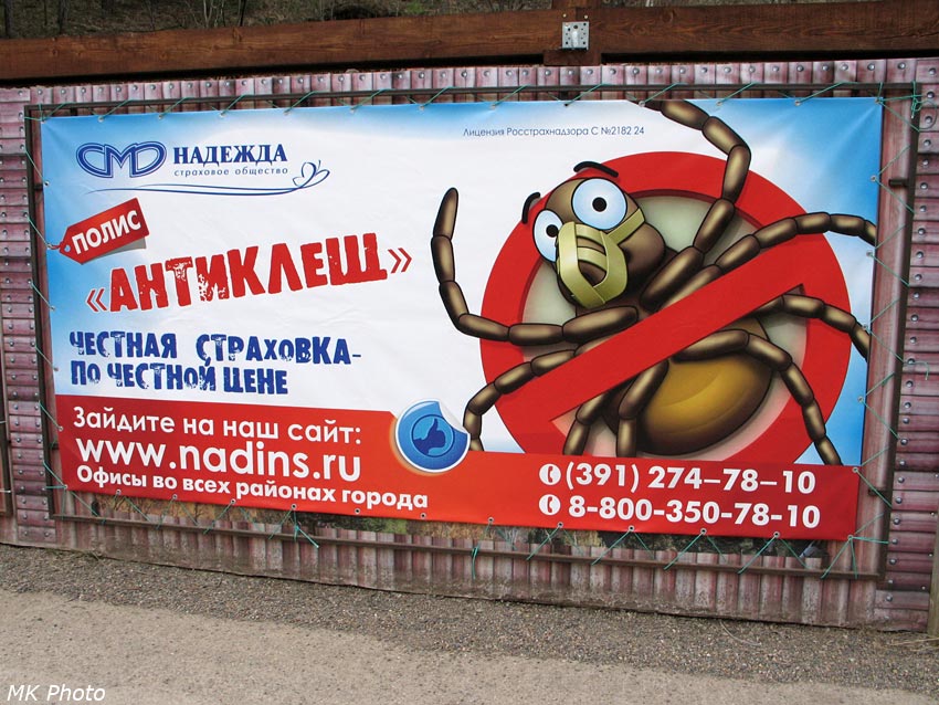 Антиклещ