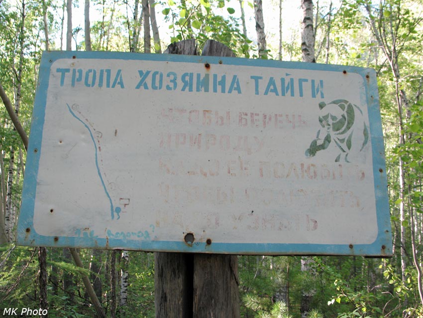Узнай и полюби медведя