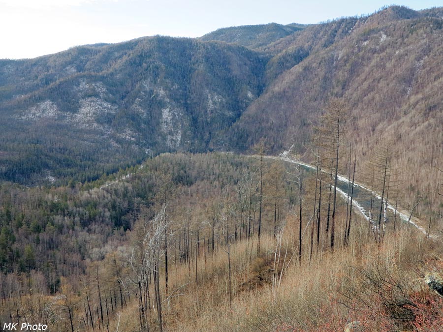 Куличий мыс