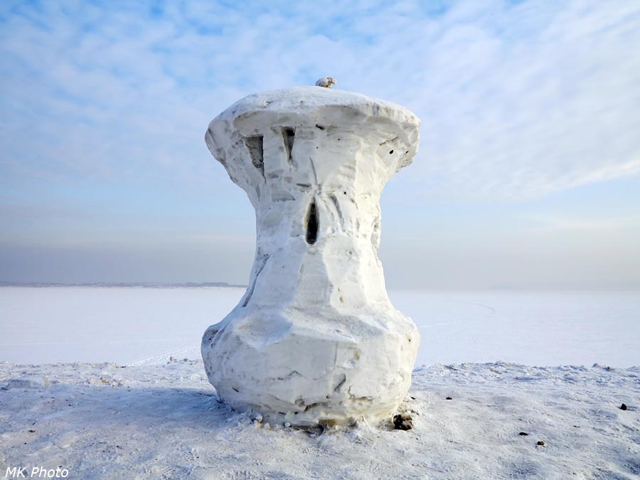 Обгрызенное яблоко