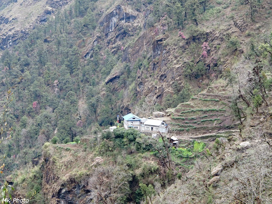 Лодж Khumbu view