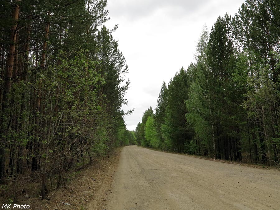 Дорога