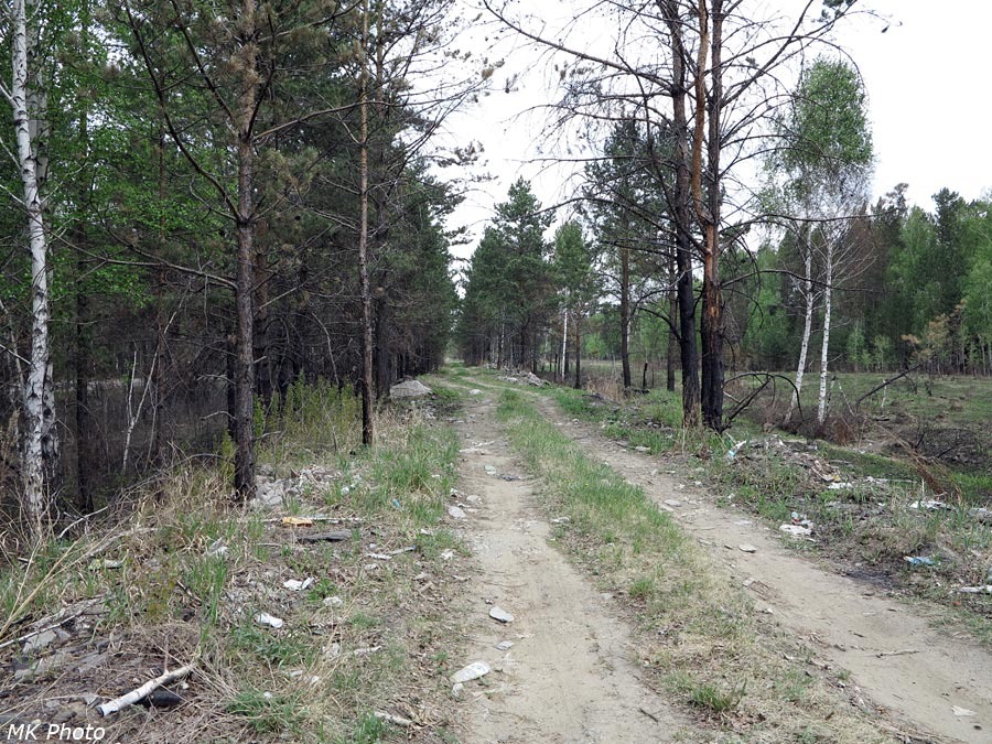Дорога по остаткам насыпи