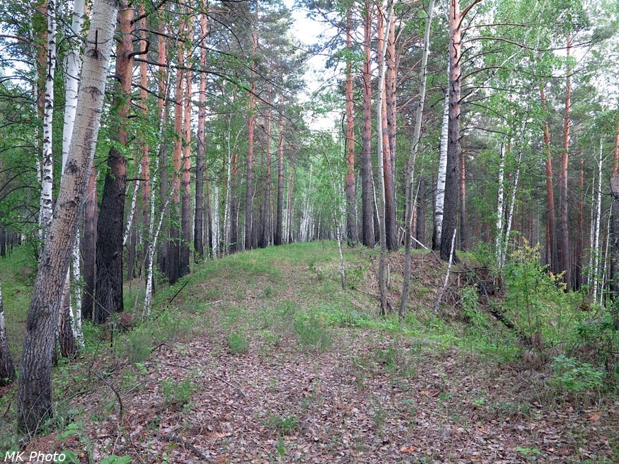 Старая насыпь железной дороги