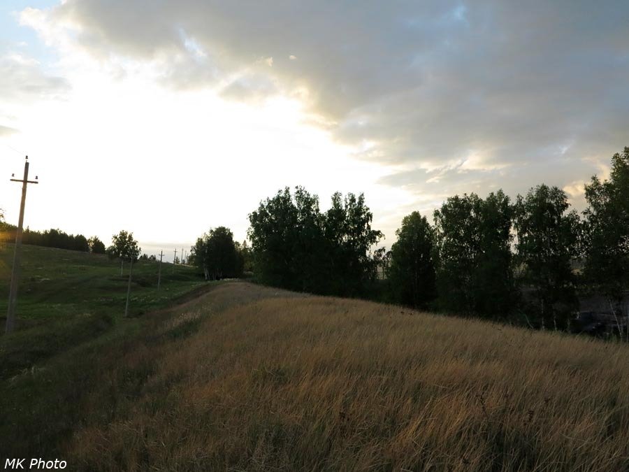 Насыпь, поросшая травой
