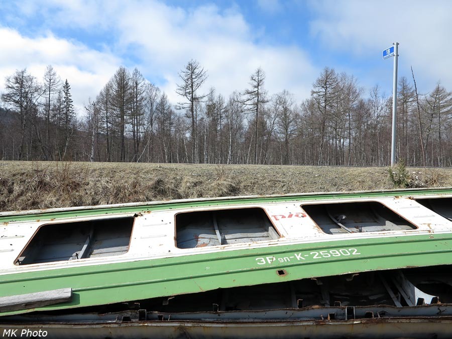 Остатки электрички возле села Быстрое