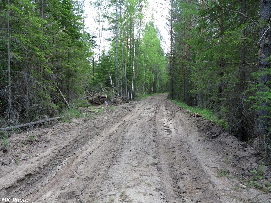 Лесовозная дорога
