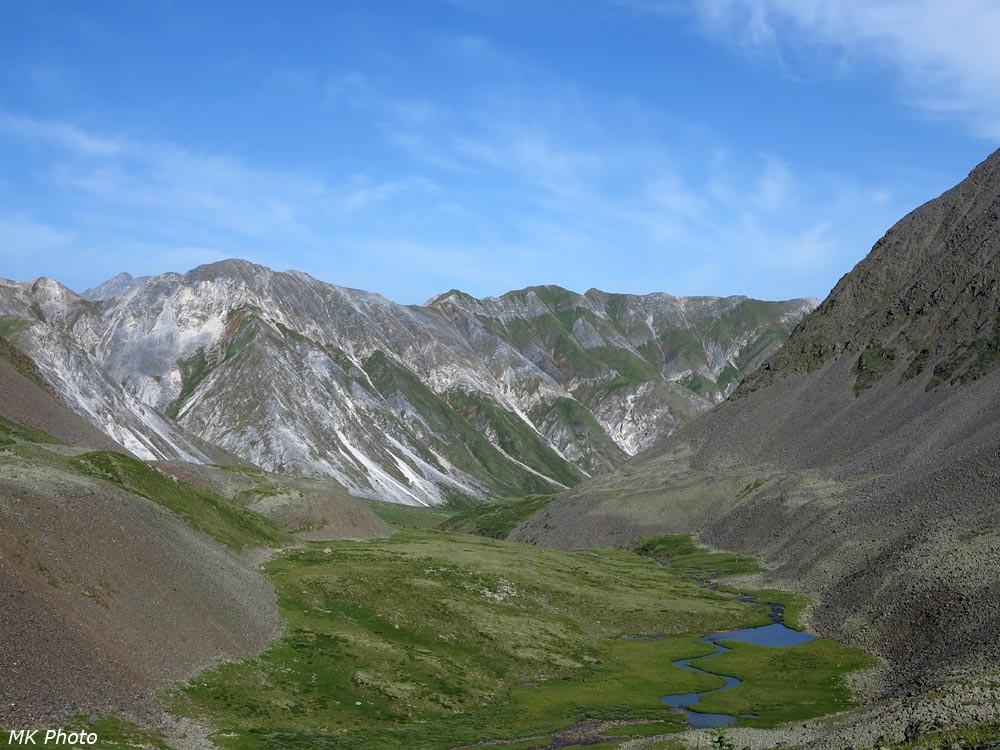 Платообразность