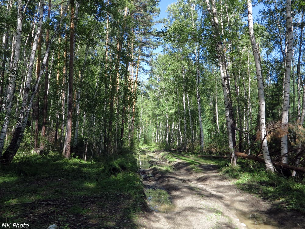 Грунтовка