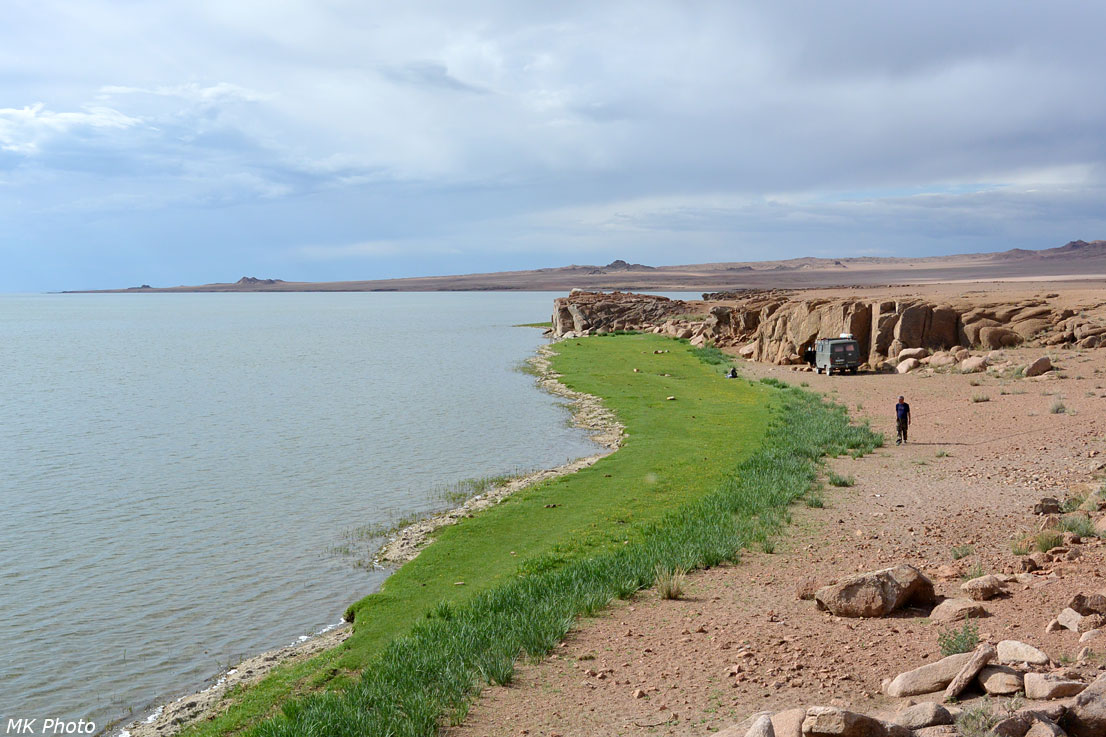 Зелёная лужайка