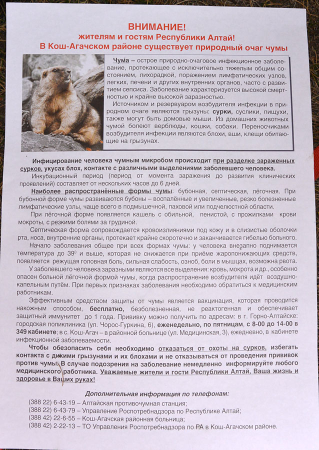 Природный очаг чумы
