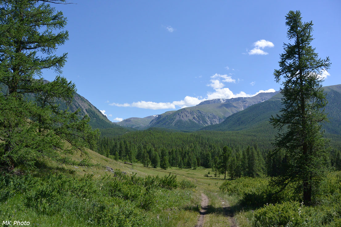 Спуск к поляне на берегу реки