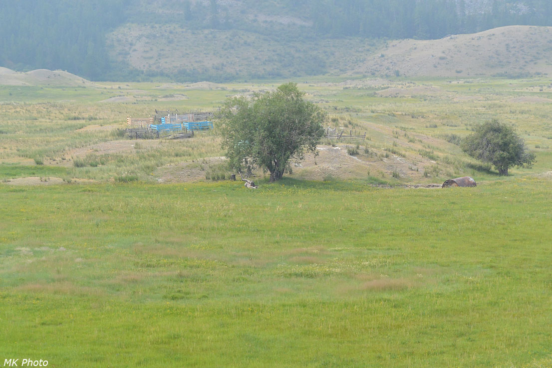 Кладбище