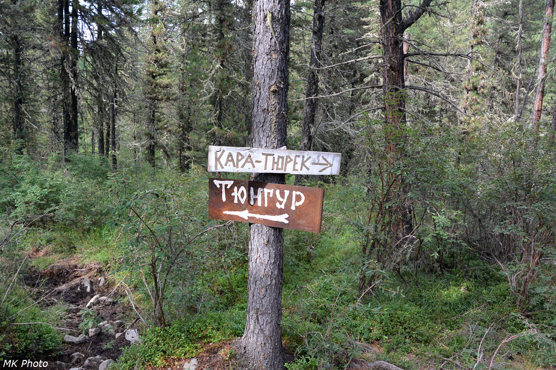 Развилка