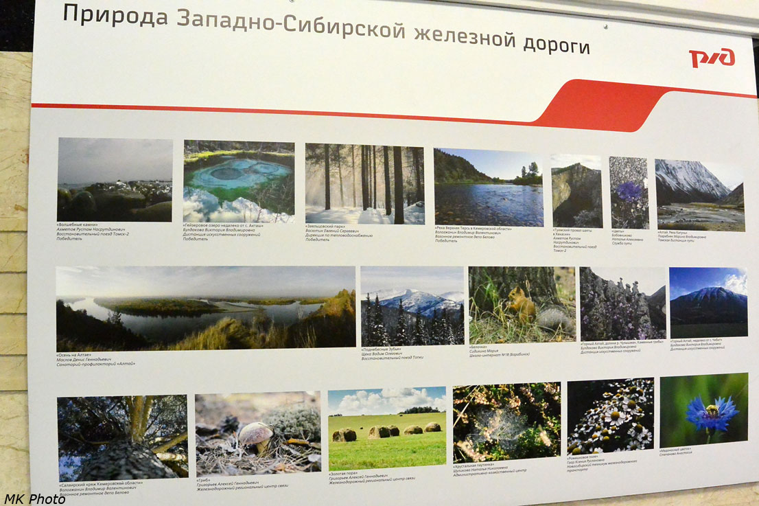 Природа Западно-Сибирской железной дороги