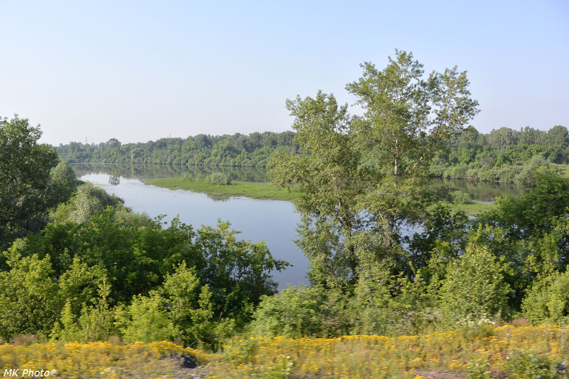 Старица Томи