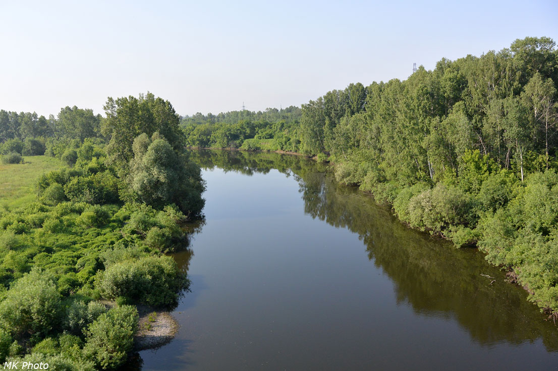 Старица Томи