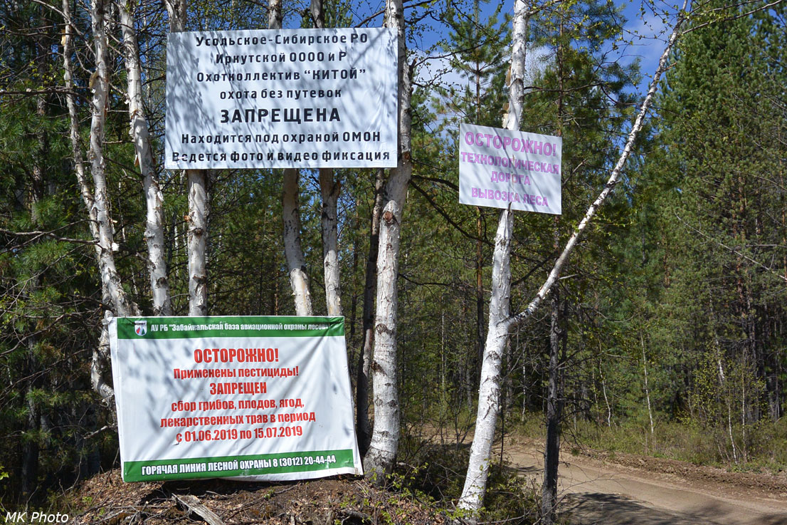 Плакаты