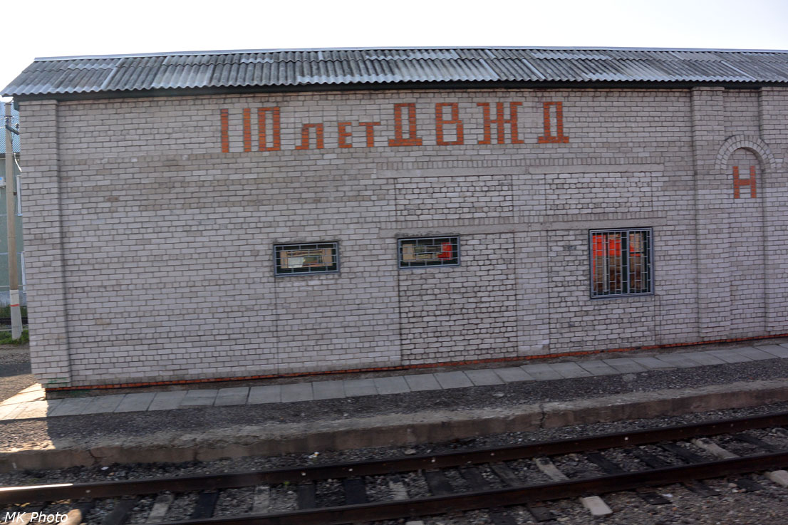 Свиягино