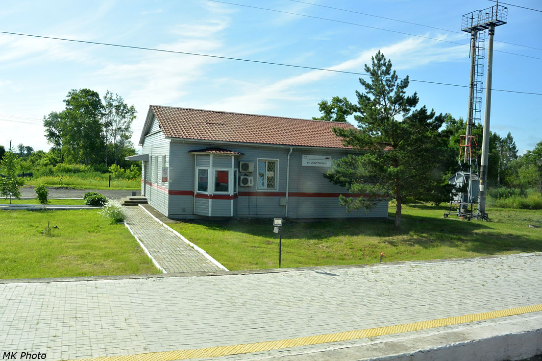 Ласточка