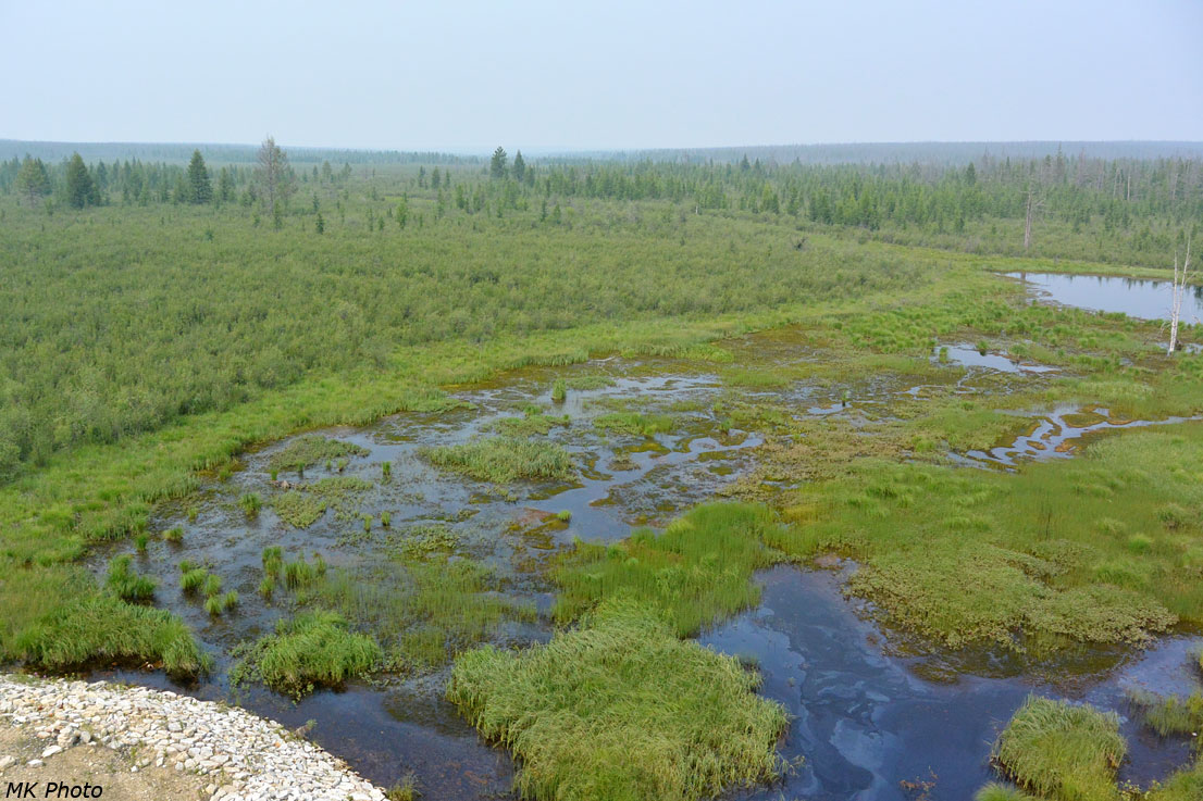Р. Кюргелях