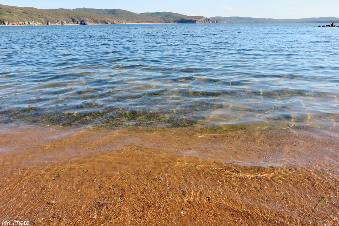 Морское дно