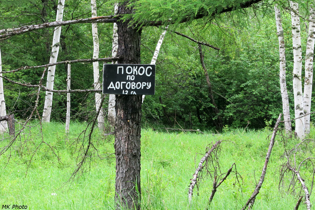 Табличка в лесу