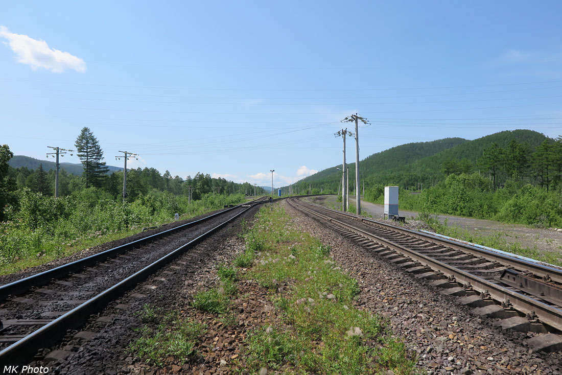 Развилка
