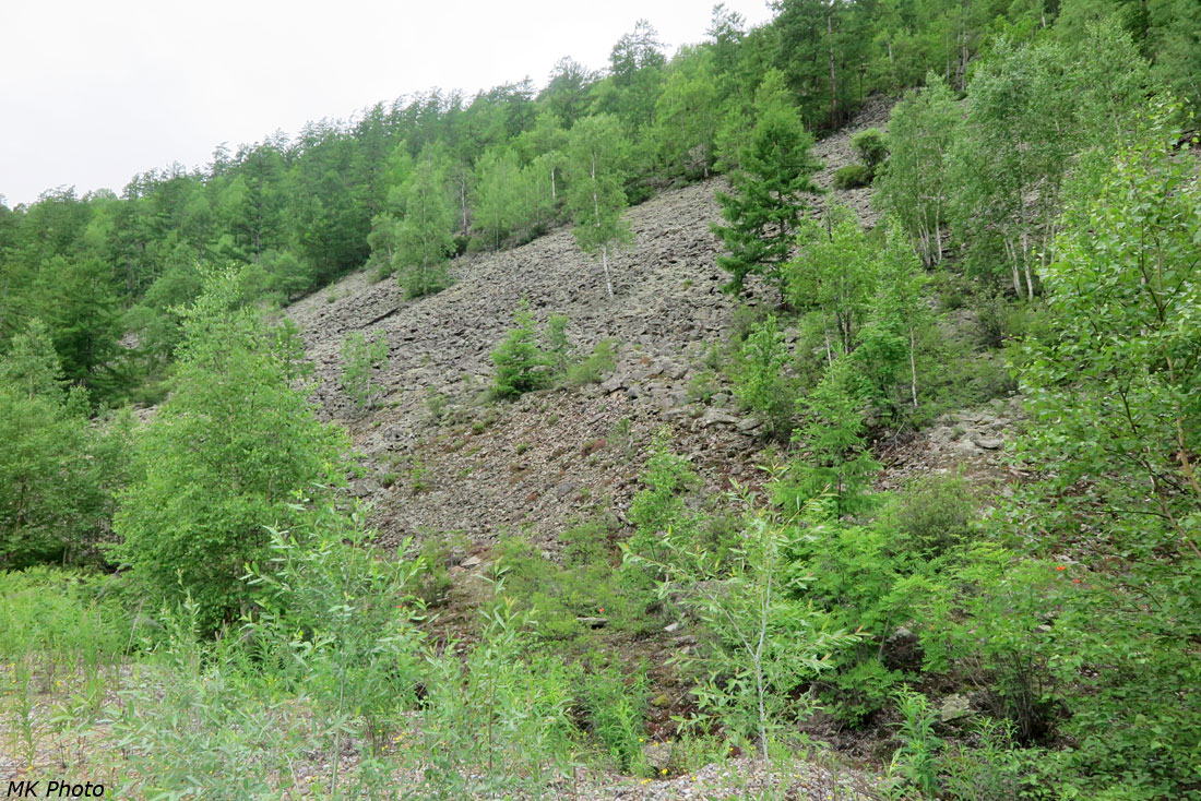 Каменная осыпь