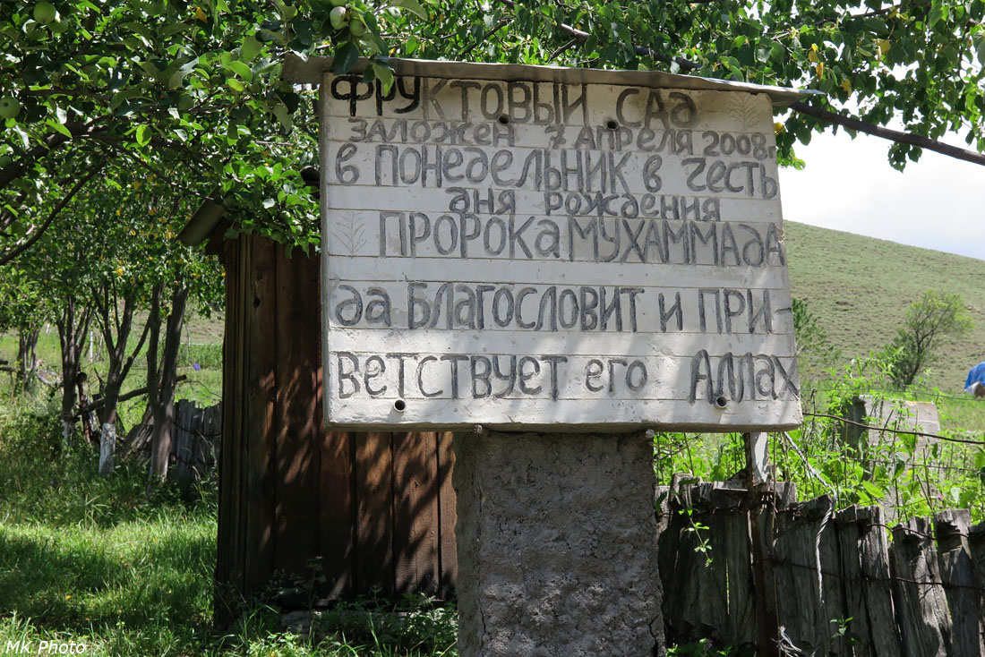 Фруктовый сад