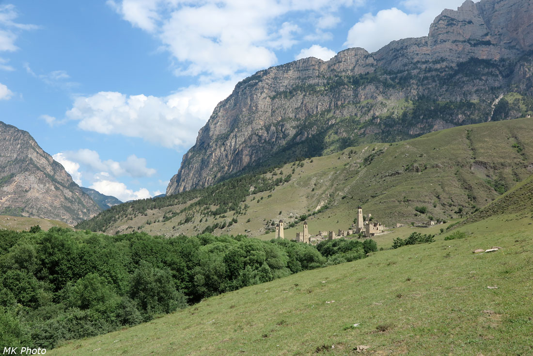 Таргим